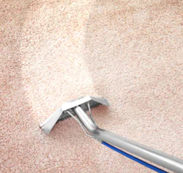 carpet cleaning erskineville